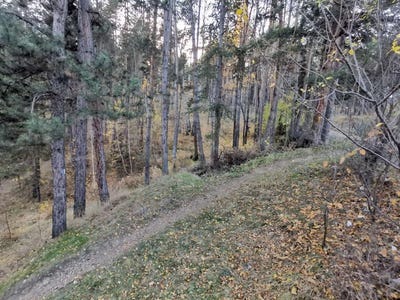 /international/bg/гр-велинград-gr-velingrad-пазарджик-pazardzhik-120074525445/?lang=zh-tw