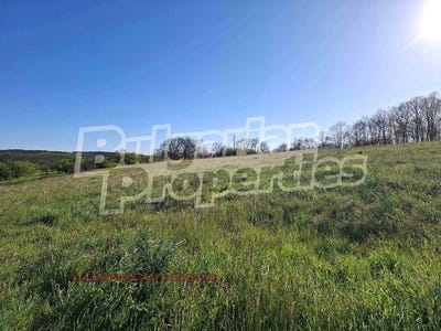 /international/bg/с-александрово-s-aleksandrovo-ямбол-stara-zagora-310099215716/