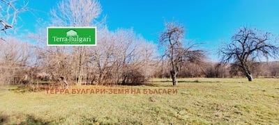 /international/bg/църква-carkva-перник-pernik-120083192592/