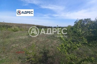 /international/bg/с-звездица-s-zvezdica-варна-varna-310098794689/