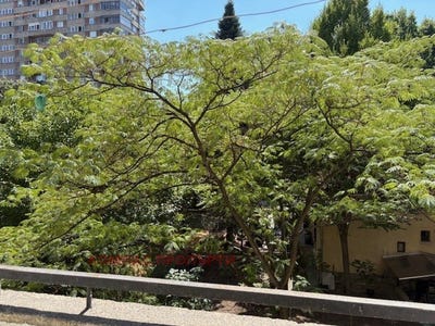 /international/bg/красно-село-ул-дечко-иорданов-krasno-selo-ul-dechko-yordanov-софия-sofia-city-province-310101513183/