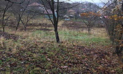 /international/bg/болта-bolta-габрово-gabrovo-310093864711/