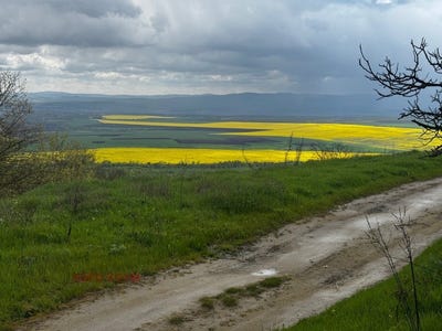 /international/bg/с-аврен-продададено-s-avren-prodadadeno-варна-varna-310108562032/