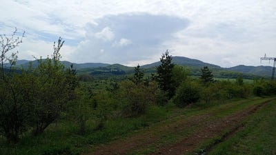 /international/bg/с-дивотино-s-divotino-перник-pernik-310102509969/