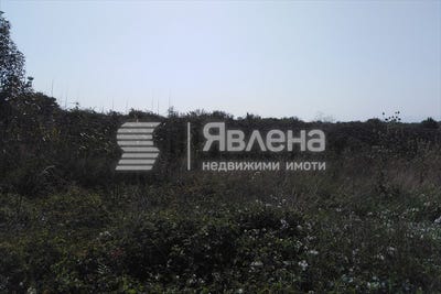 /international/bg/с-ягодово-s-iagodovo-пловдив-plovdiv-province-310101034899/
