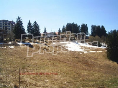 /international/bg/к-к-пампорово-k-k-pamporovo-смолян-smoljan-120049133187/