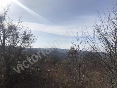 /international/bg/м-т-козлуджа-m-t-kozludja-велико-търново-veliko-tarnovo-province-120049122972/