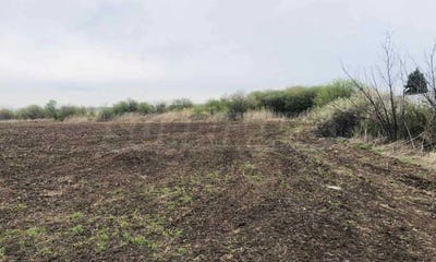 /international/bg/сарафово-sarafovo-бургас-burgas-310098116588/