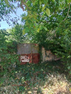 /international/bg/с-оряховица-център-s-oriahovica-centar-стара-загора-stara-zagora-310101600563/