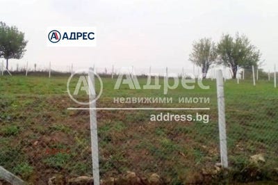 /international/bg/с-николаевка-s-nikolaevka-варна-varna-310108369455/