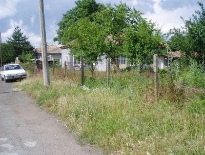 /international/bg/dabovik-dobrich-310109106916/