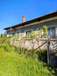 /international/bg/silistra-ruse-310106579037/