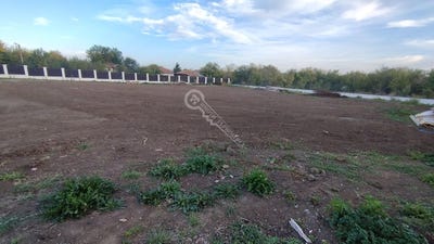 /international/bg/с-ново-село-s-novo-selo-велико-търново-vidin-310094950803/
