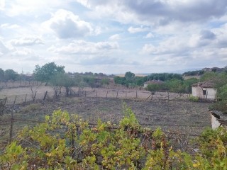 /international/bg/elkhovo-burgas-120094747199/