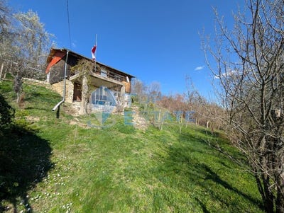 /international/bg/с-длъжка-поляна-s-dlajka-poliana-търговище-targovishte-province-310098288927/