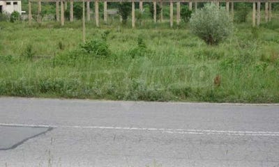 /international/bg/гр-трявна-gr-triavna-габрово-gabrovo-120093709703/