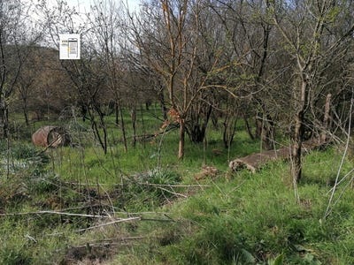 /international/bg/с-богдан-s-bogdan-добрич-dobrich-province-310102435333/