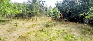 /international/bg/dobrich-varna-120096660676/