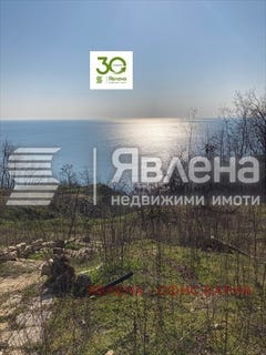 /international/bg/м-т-прибои-m-t-priboy-варна-varna-310108560284/