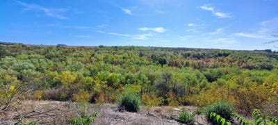 /international/bg/м-т-стражата-m-t-strajata-плевен-pleven-province-310100733554/