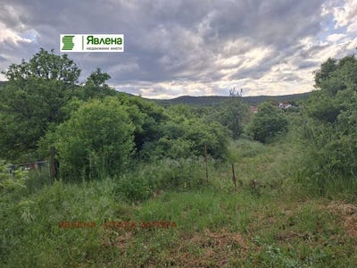 /international/bg/с-ново-село-s-novo-selo-стара-загора-stara-zagora-310108154220/