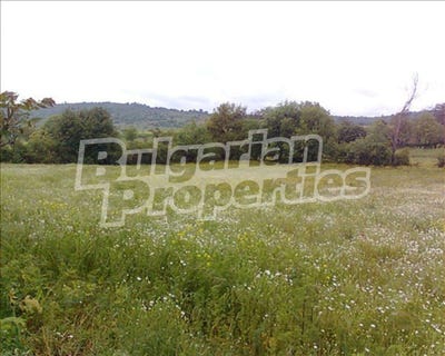 /international/bg/с-мамарчево-s-mamarchevo-ямбол-jambol-120081795473/