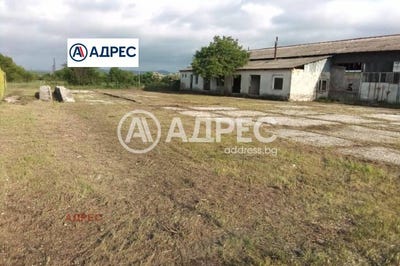/international/bg/с-пчелник-s-pchelnik-варна-varna-310106571994/