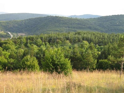 /international/bg/чолаковци-cholakovci-велико-търново-veliko-tarnovo-province-120065471109/?lang=zh-tw