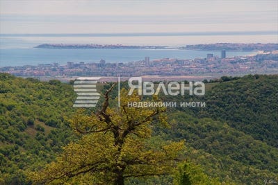 /international/bg/с-кошарица-s-kosharica-бургас-burgas-310108370039/