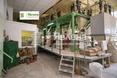 /international/bg/гр-луковит-gr-lukovit-ловеч-lovech-310108555868/