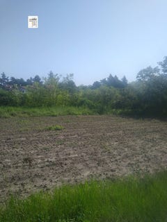 /international/bg/с-смолница-s-smolnica-добрич-dobrich-province-310102436872/