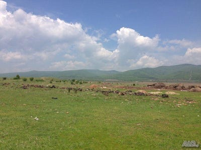 /international/bg/с-оризаре-s-orizare-бургас-burgas-120089259388/