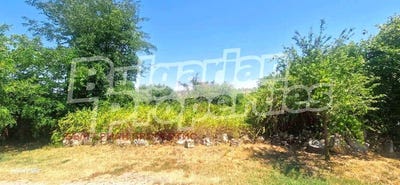/international/bg/с-малко-тръново-s-malko-tranovo-стара-загора-stara-zagora-310101552223/