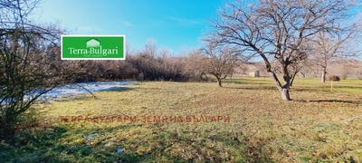 /international/bg/църква-carkva-перник-pernik-310095278475/