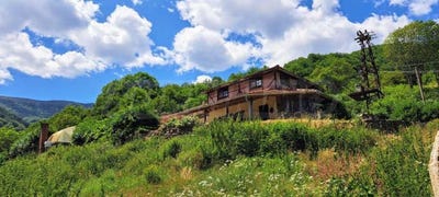 /international/bg/с-чифлик-s-chiflik-ловеч-lovech-310105250821/