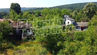 /international/bg/с-млечево-s-mlechevo-габрово-gabrovo-310101132897/
