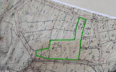 /international/bg/гр-провадия-село-кривня-gr-provadia-selo-krivnia-варна-varna-310100932219/