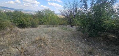 /international/bg/с-петлино-s-petlino-кърджали-kardzhali-province-310095193517/