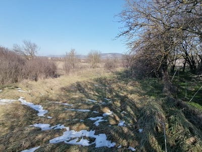 /international/bg/с-заичино-ореше-s-zaychino-oreshe-шумен-shumen-province-310097051301/