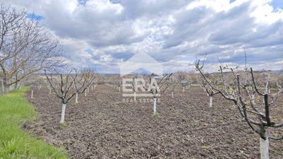 /international/bg/с-здравец-s-zdravec-търговище-targovishte-province-310107557995/