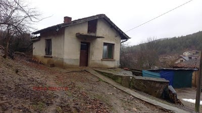 /international/bg/с-ново-село-s-novo-selo-софия-vidin-310105250616/
