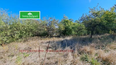 /international/bg/с-витановци-s-vitanovci-перник-pernik-120083192951/
