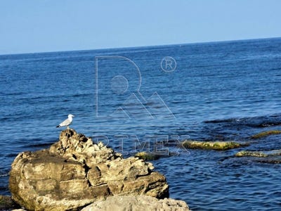 /international/bg/гр-царево-gr-carevo-бургас-burgas-310101104842/
