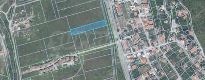 /international/bg/с-кошарица-s-kosharica-бургас-burgas-310102643325/