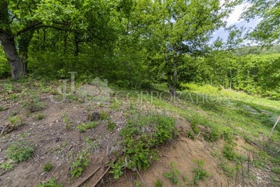 /international/bg/с-рударци-s-rudarci-перник-pernik-310099654568/