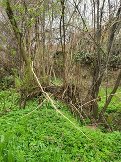 /international/bg/с-одърне-s-odarne-плевен-pleven-province-310098508310/