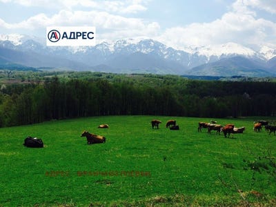 /international/bg/гр-априлци-gr-aprilci-ловеч-lovech-310106396648/