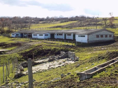 /international/bg/с-стремци-s-stremci-кърджали-kardzhali-province-310095167609/