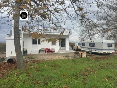 /international/bg/център-centar-пловдив-plovdiv-province-310105102220/