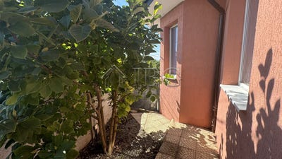 /international/bg/kosharitsa-burgas-310107429501/